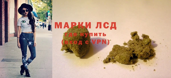 винт Алзамай