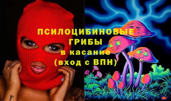 гидра Алексеевка