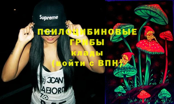 винт Алзамай