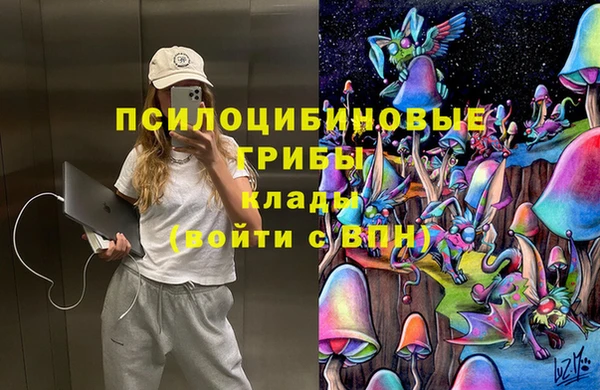 винт Алексин